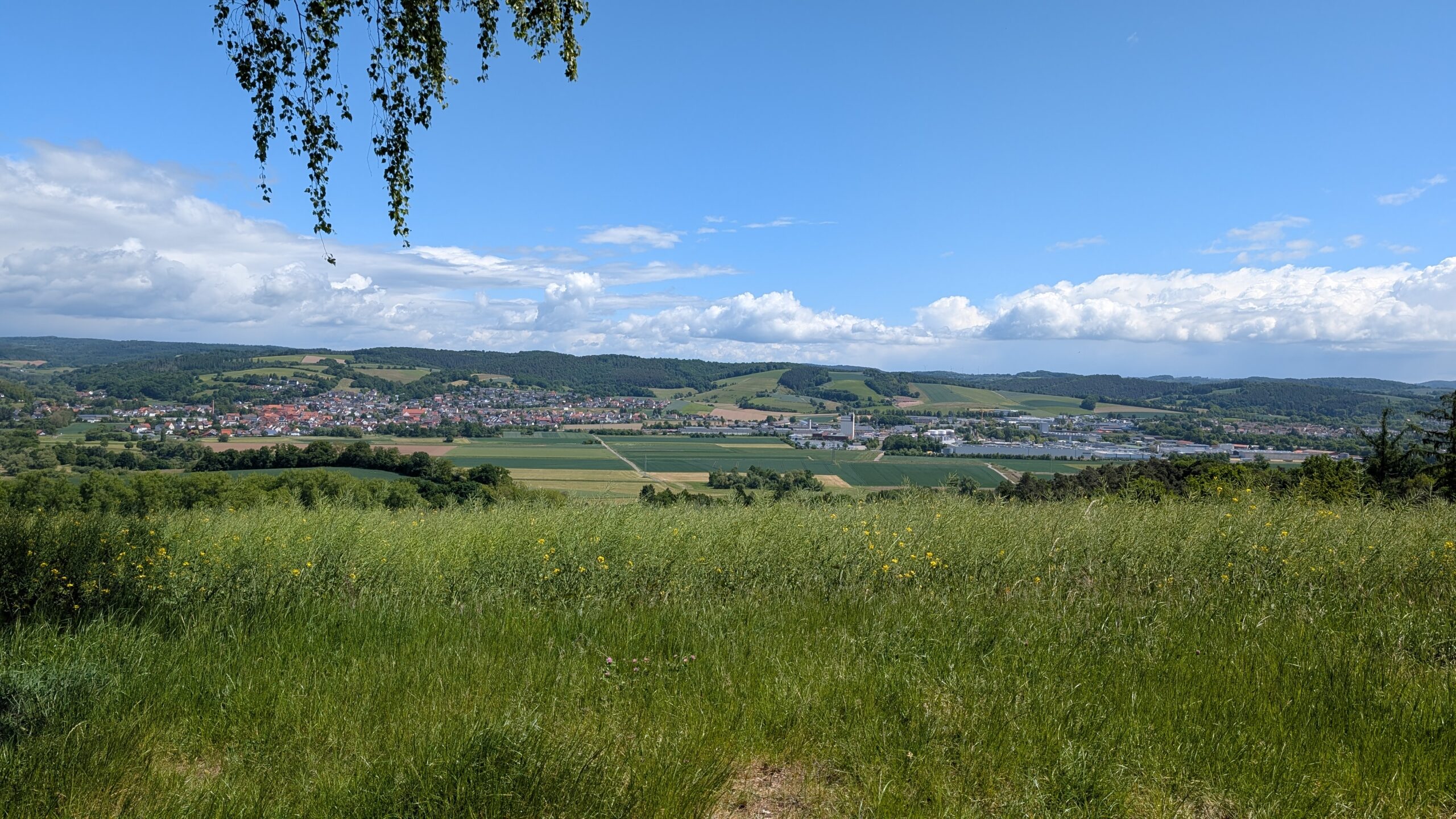 PXL_20250523_094956233