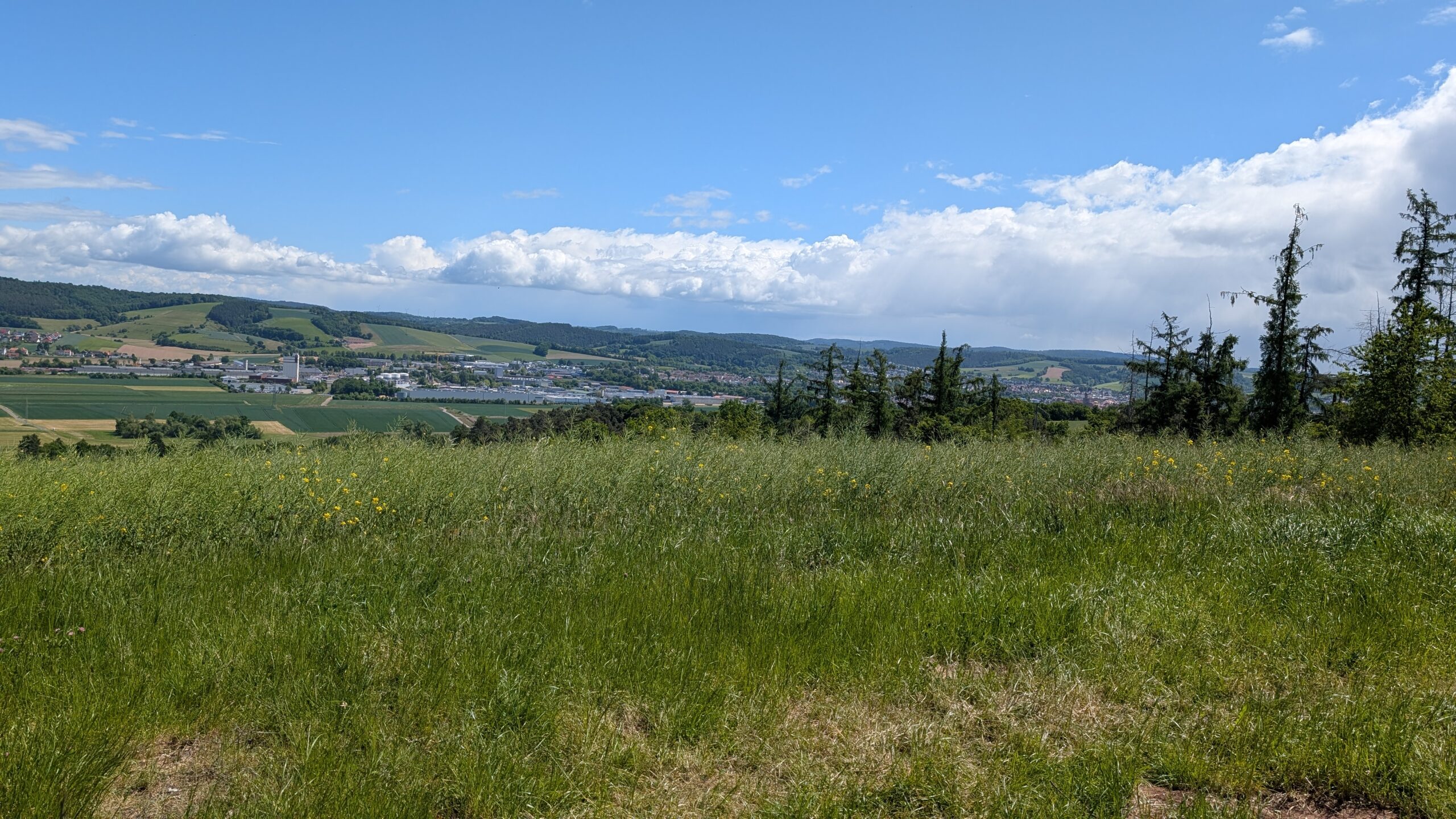 PXL_20250523_094957937