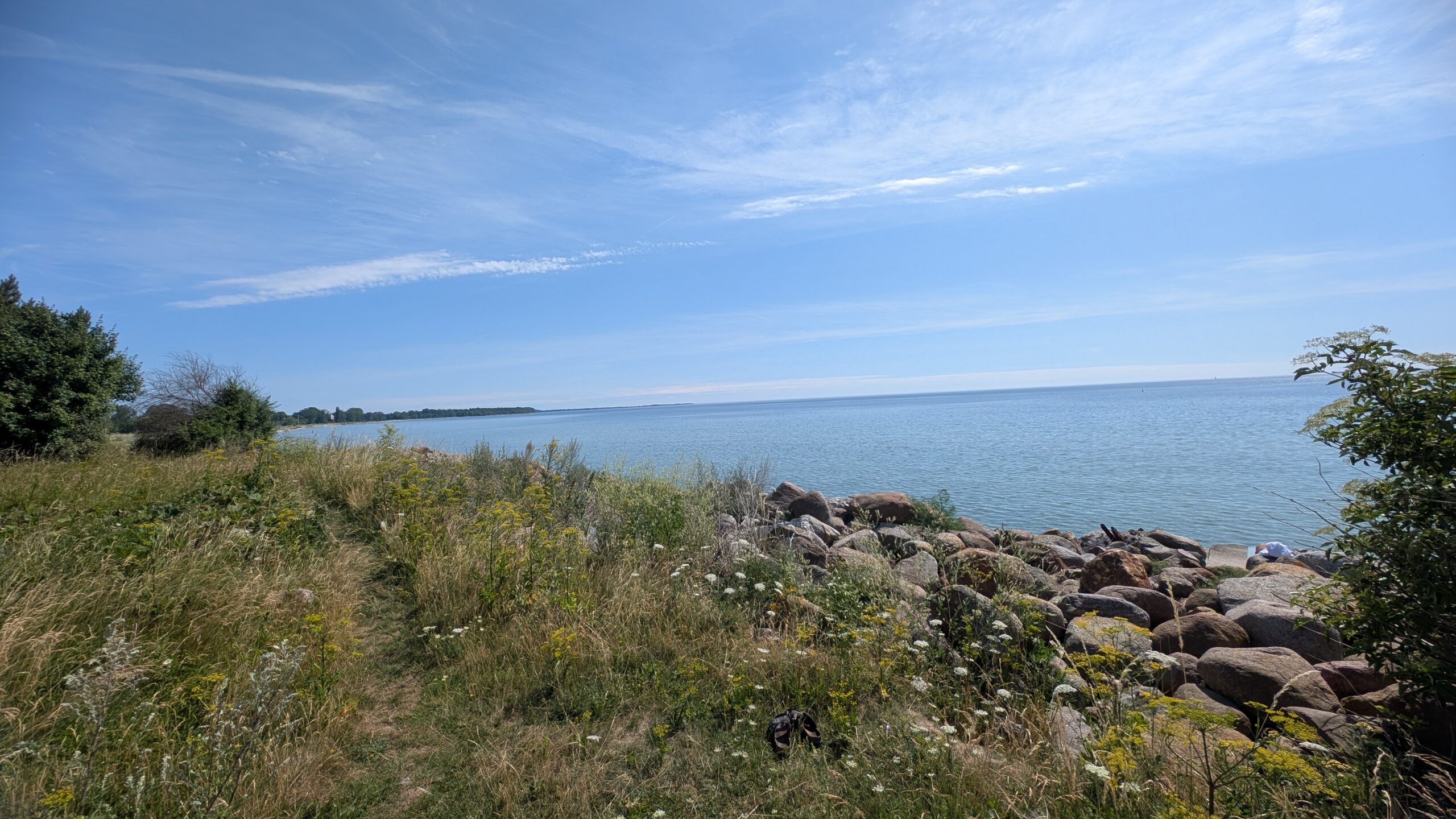 PXL_20260712_090412253