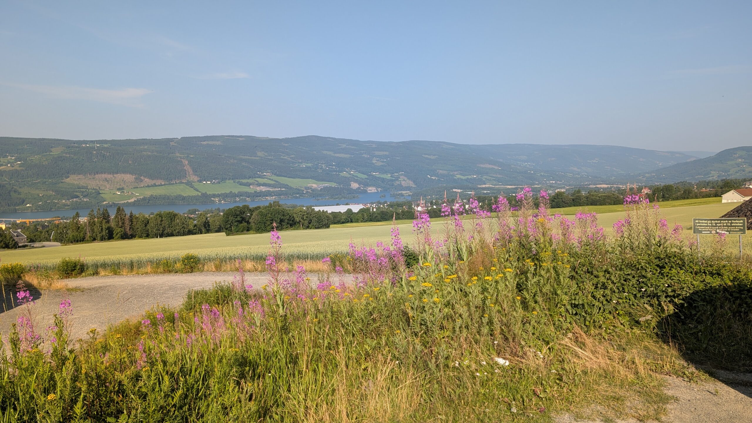 PXL_20260715_064636446