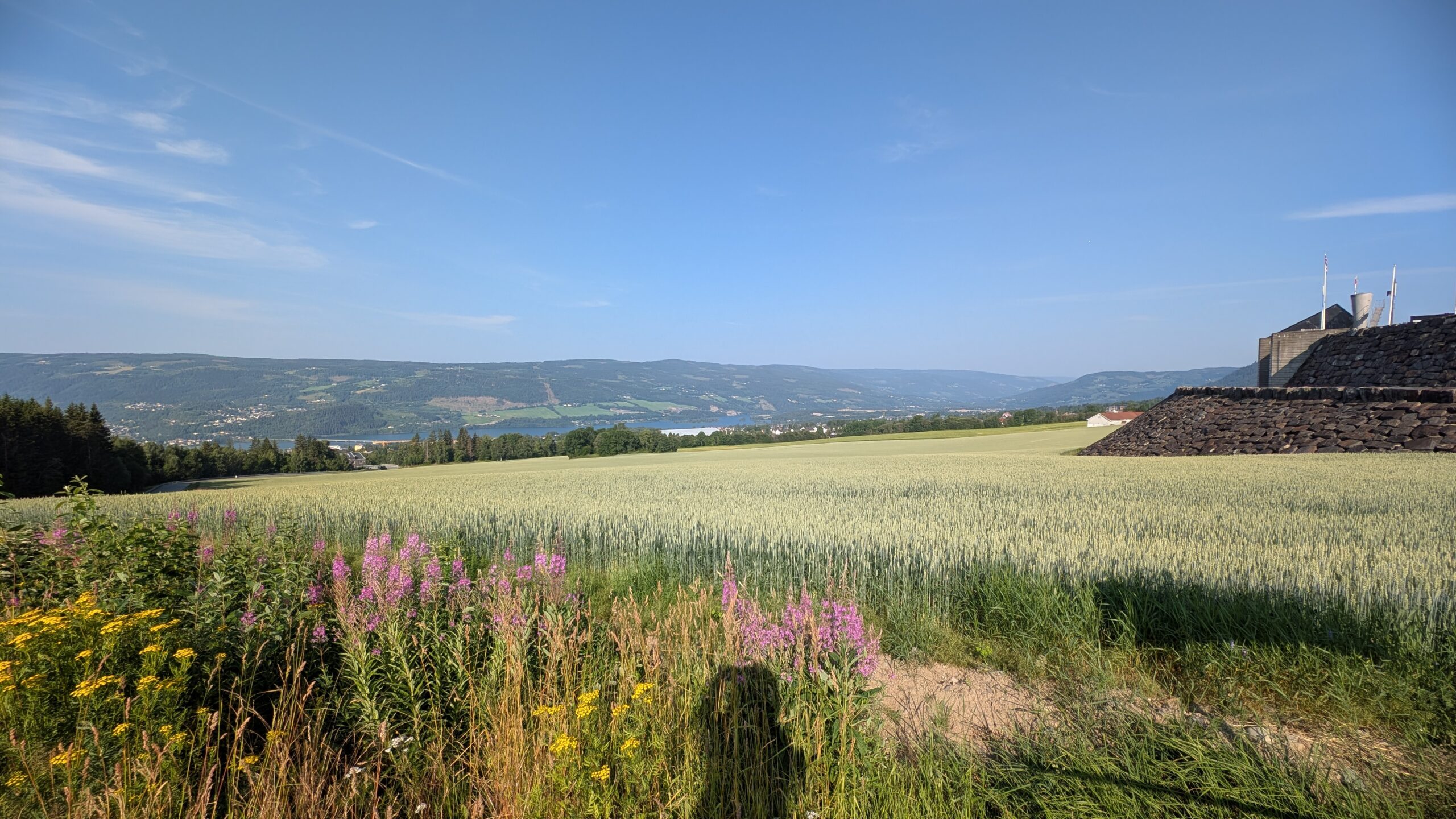 PXL_20260715_064851636