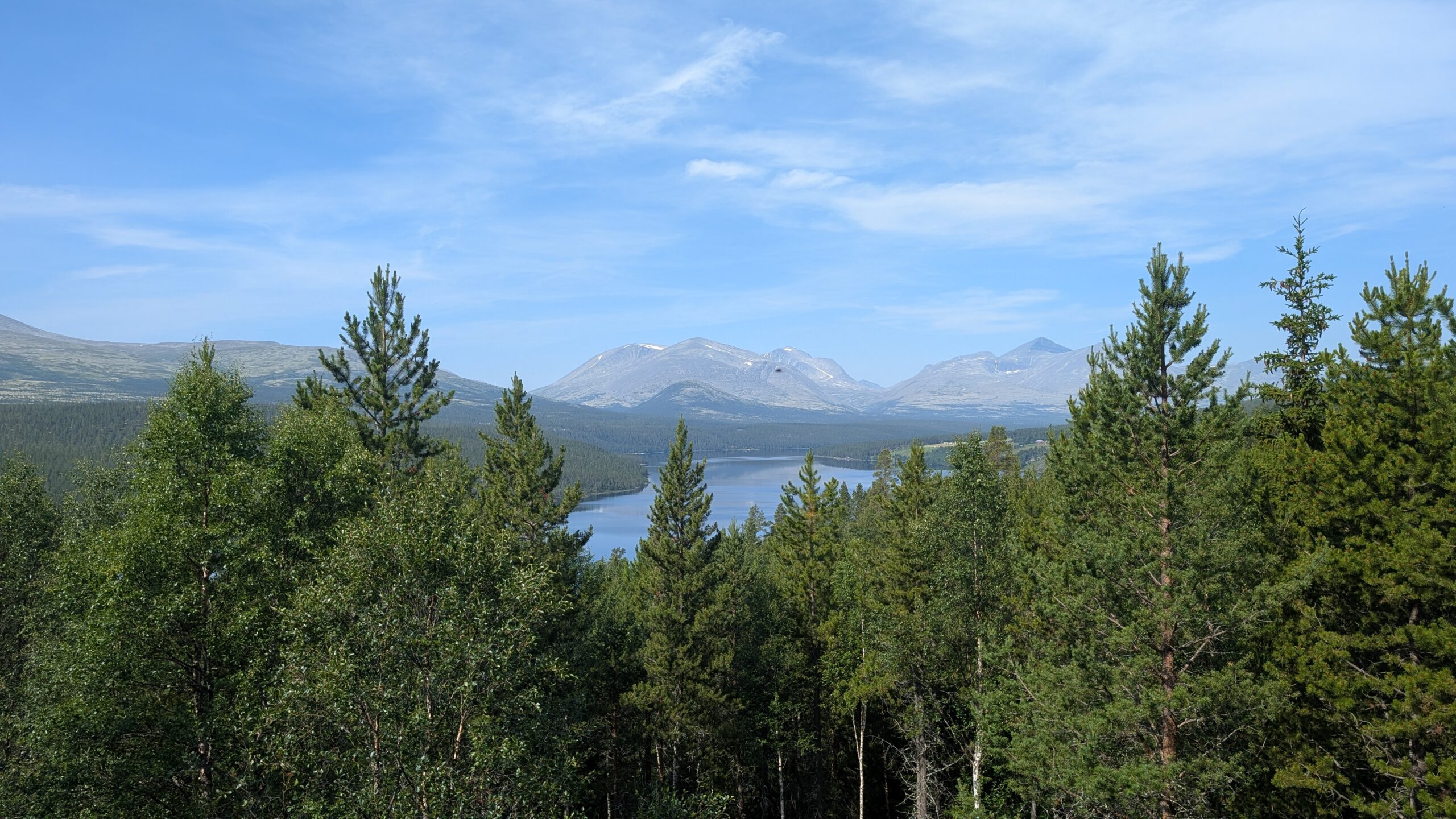 PXL_20260715_092937058