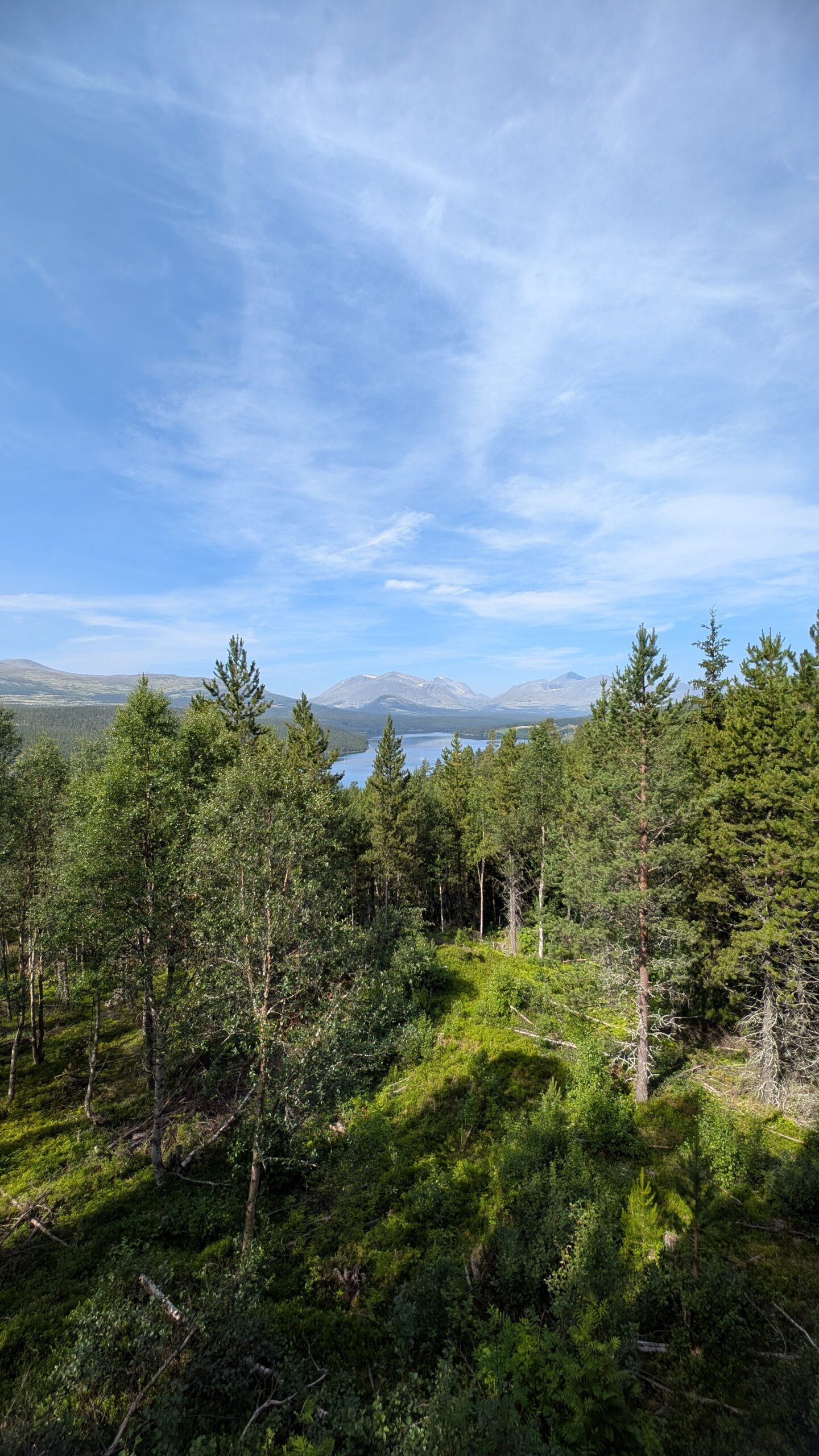 PXL_20260715_093057765