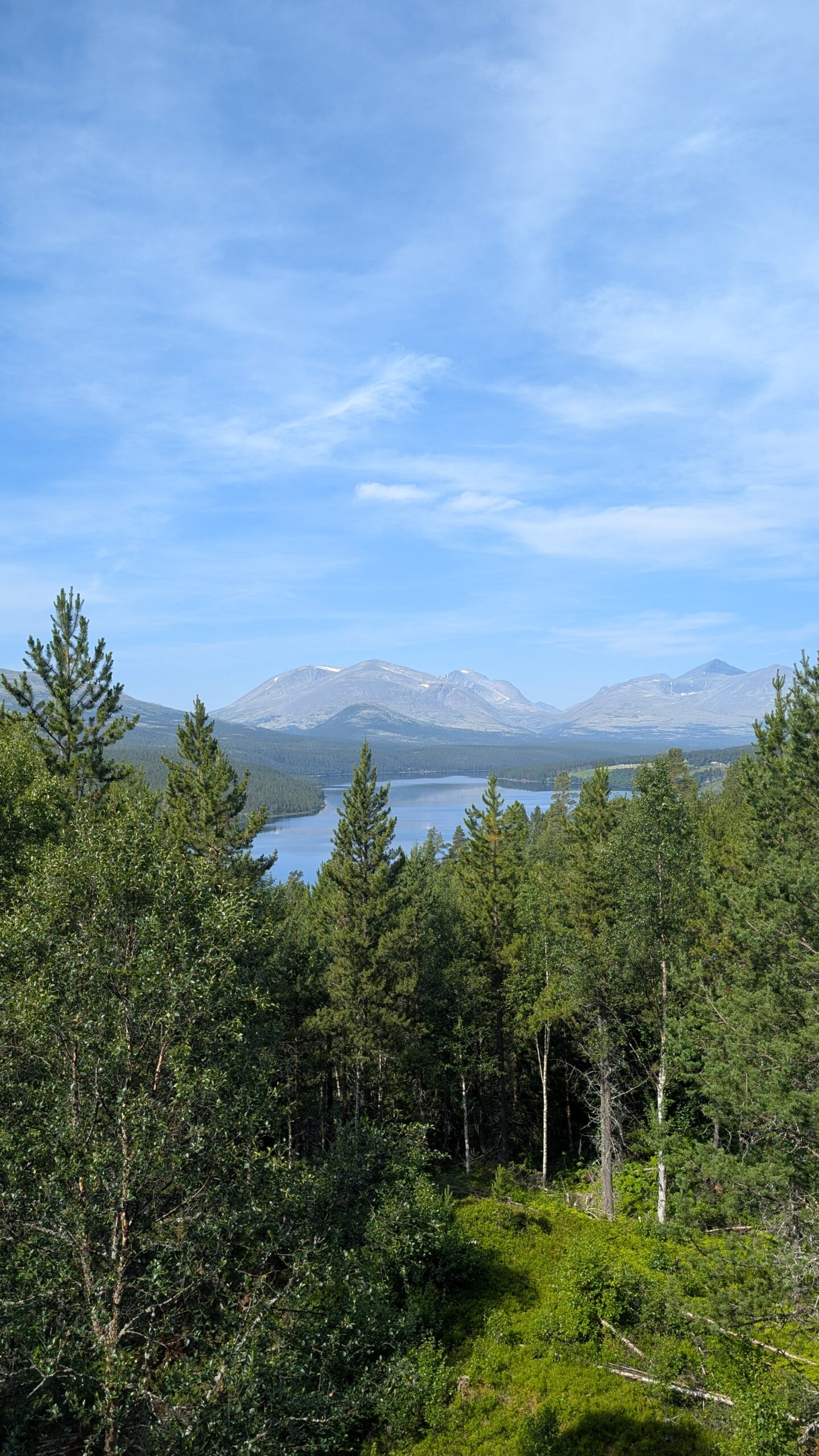 PXL_20260715_093104214
