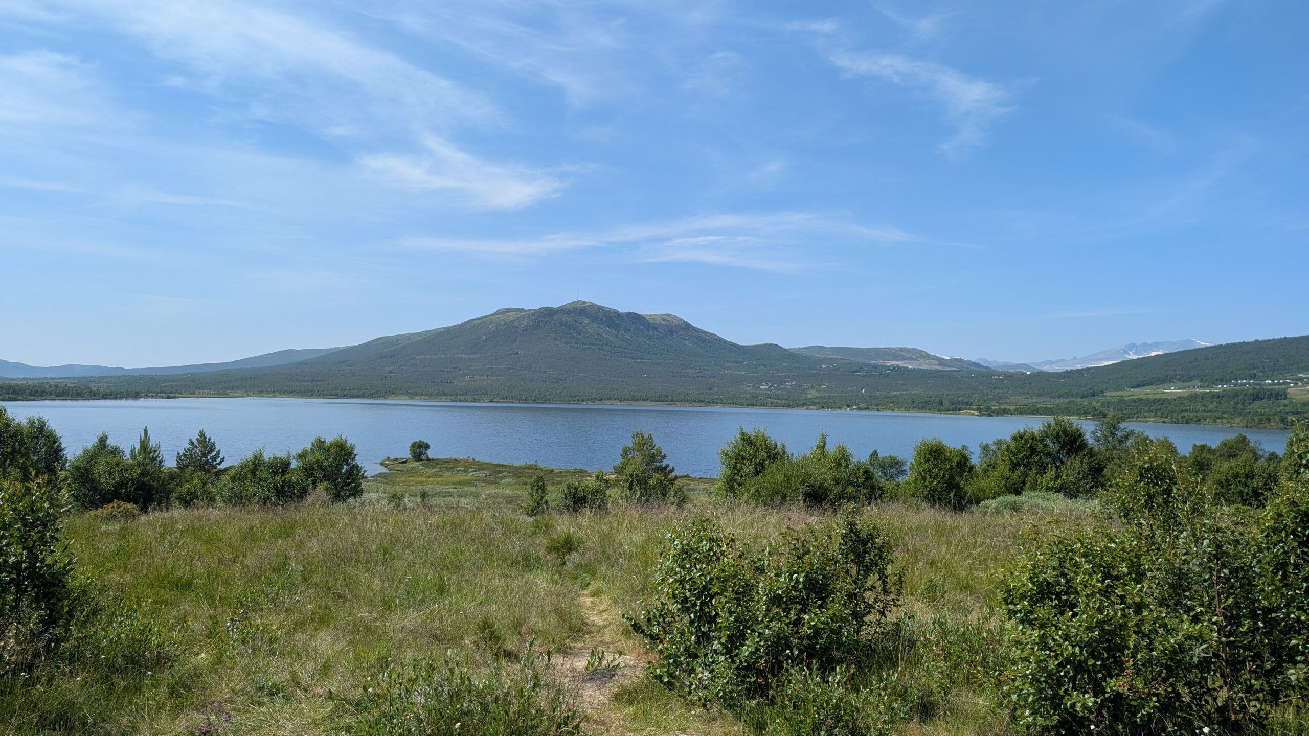 PXL_20260715_111638780