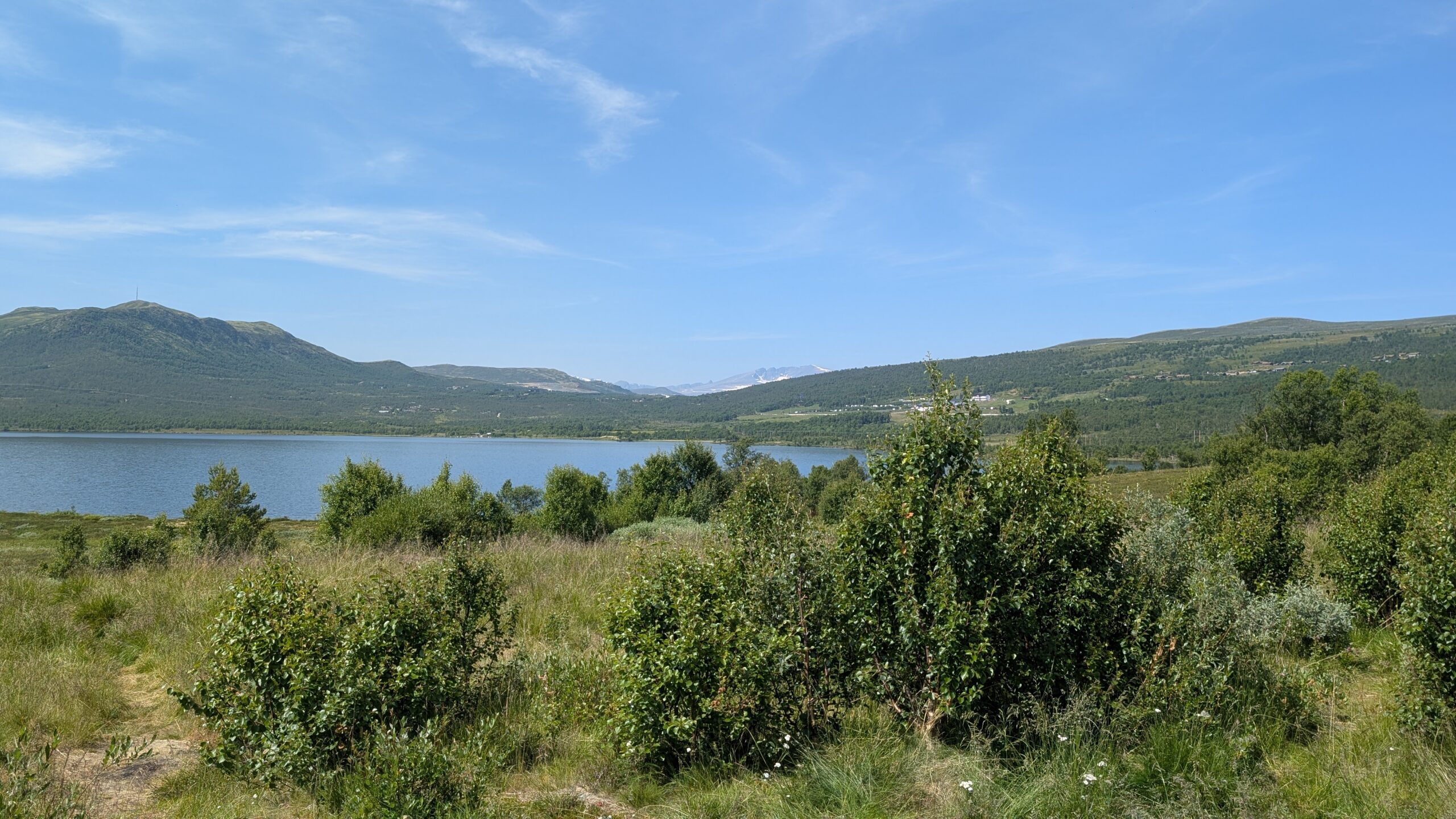 PXL_20260715_111642427