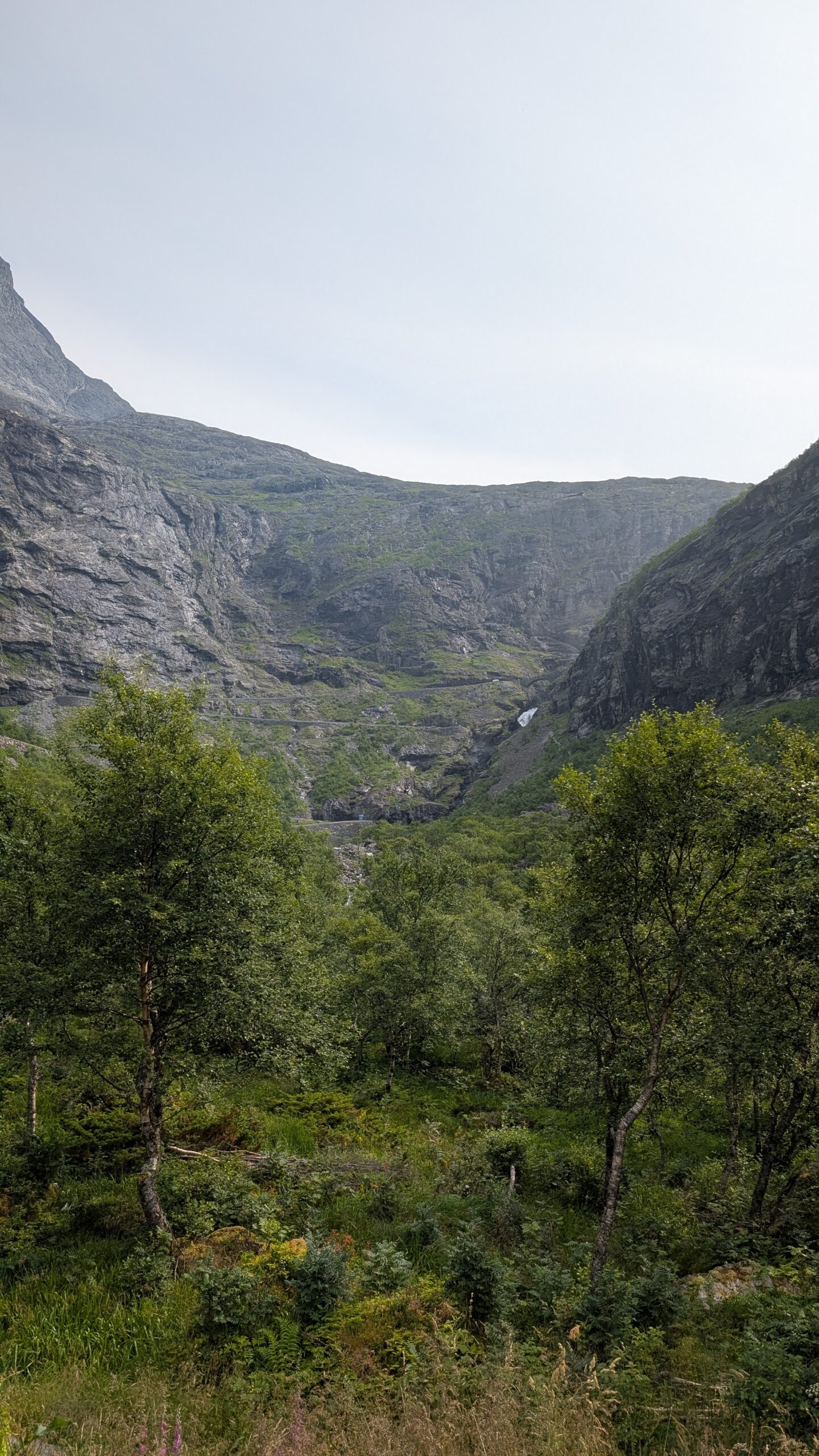 PXL_20260716_144643111