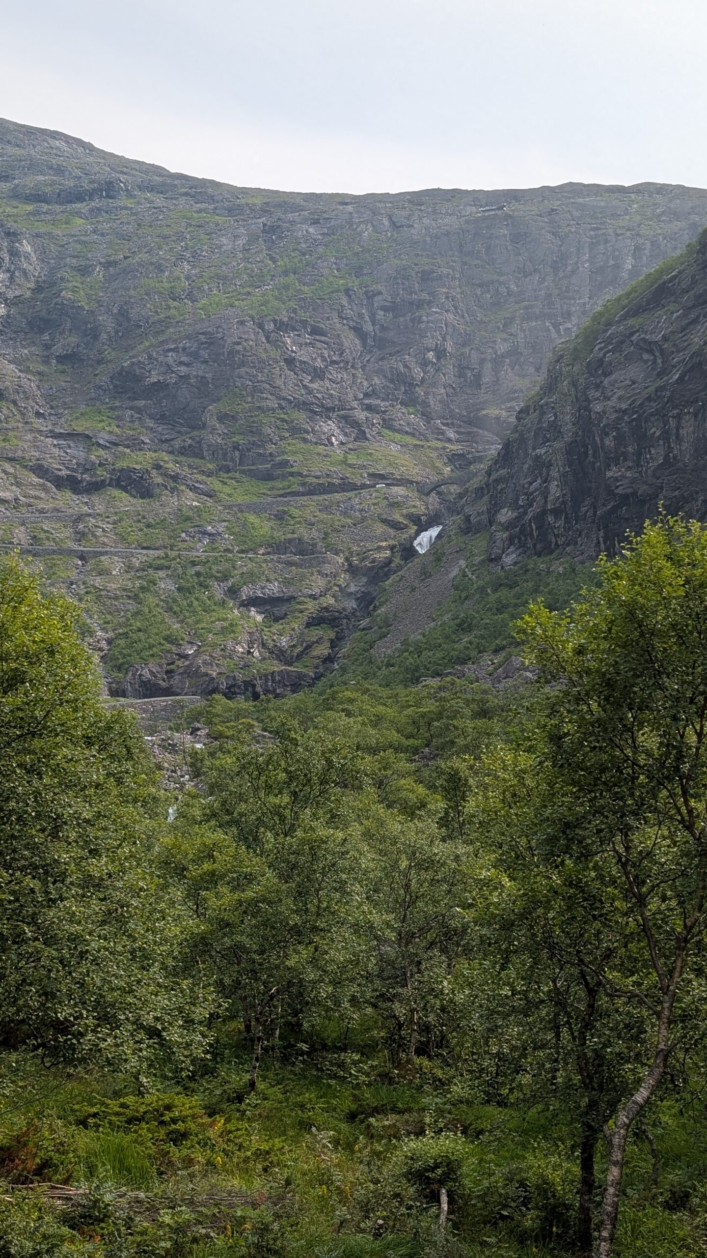 PXL_20260716_144703461