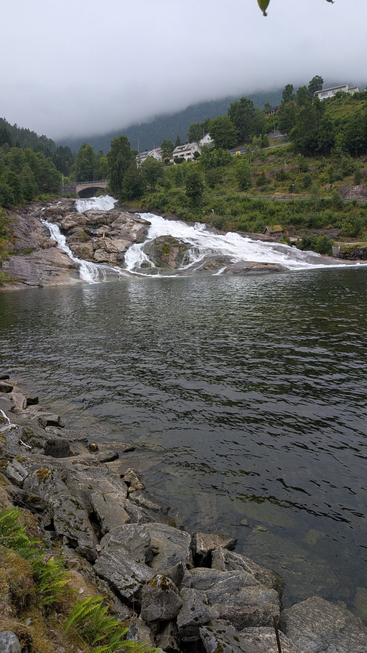 PXL_20260717_100220188
