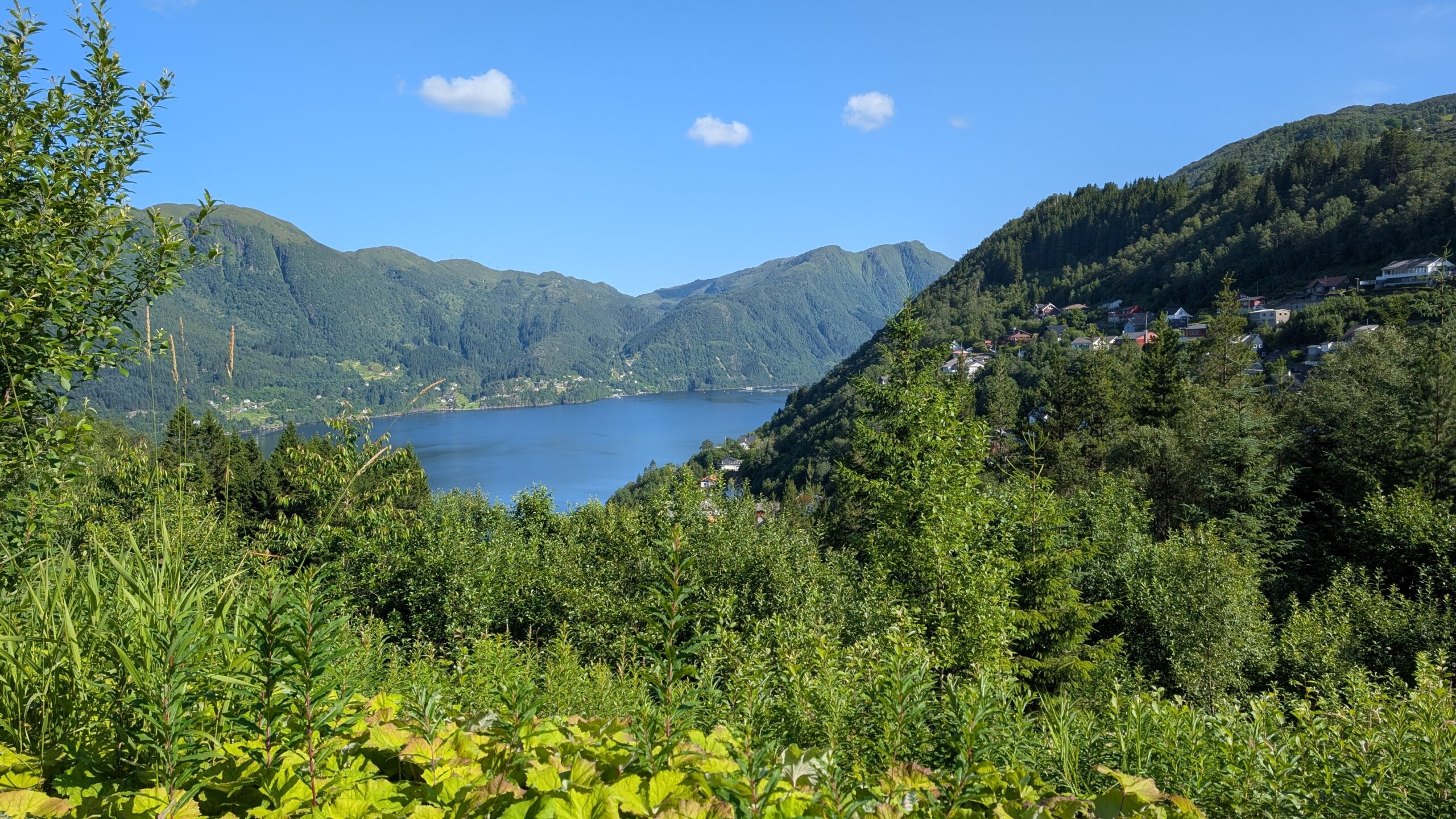 PXL_20260719_083125410