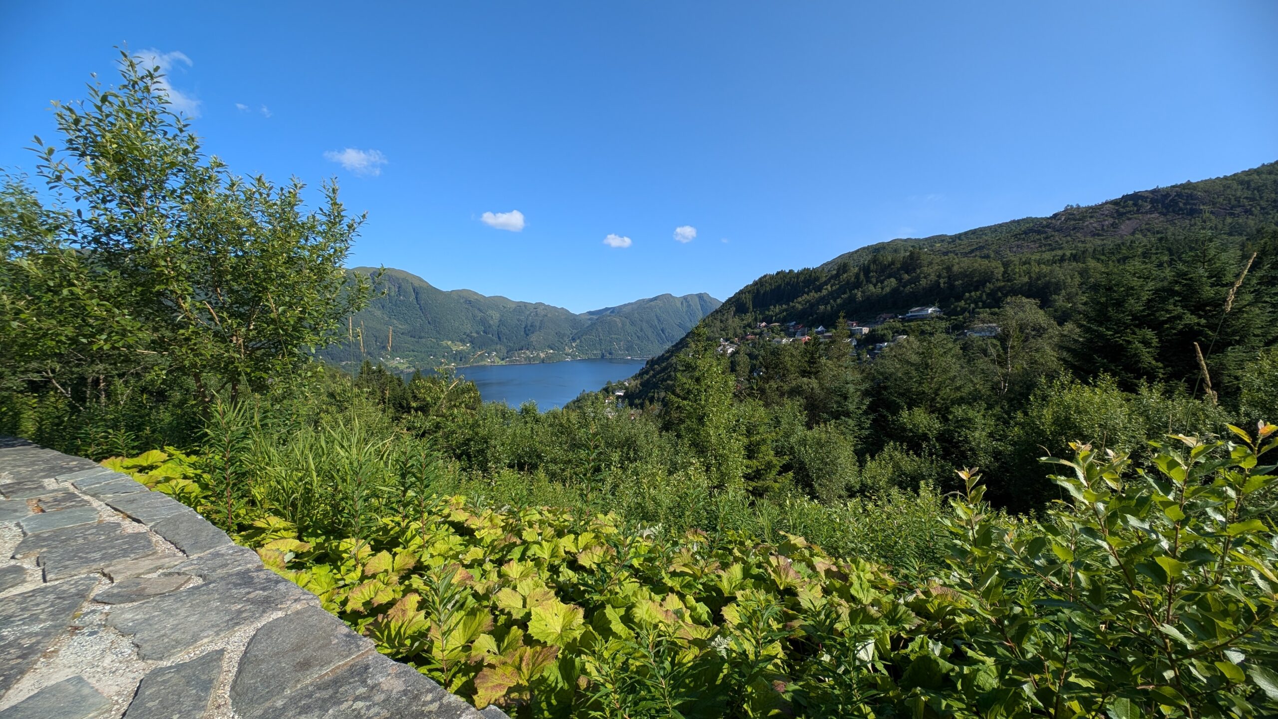 PXL_20260719_083129641