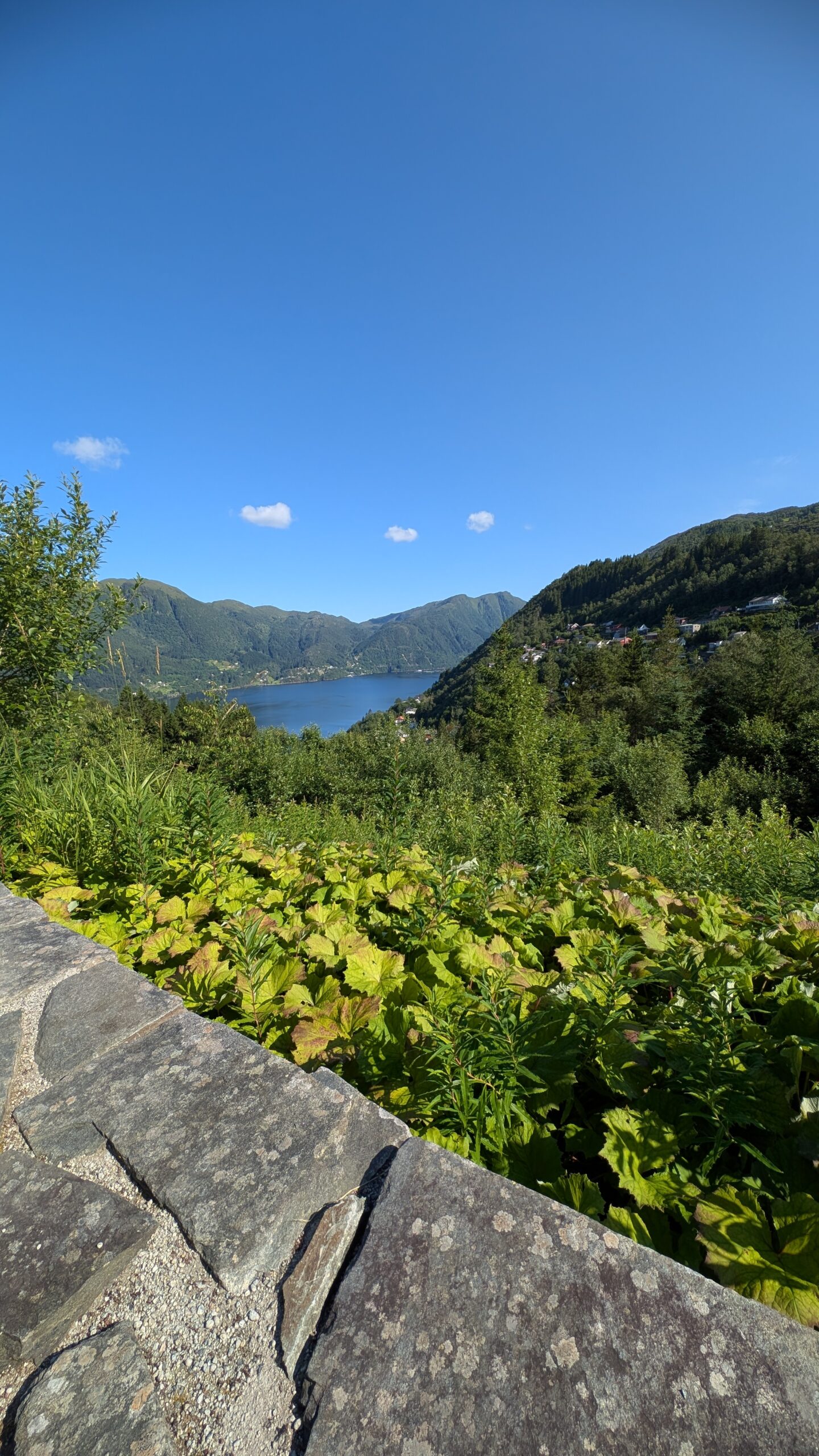 PXL_20260719_083134385