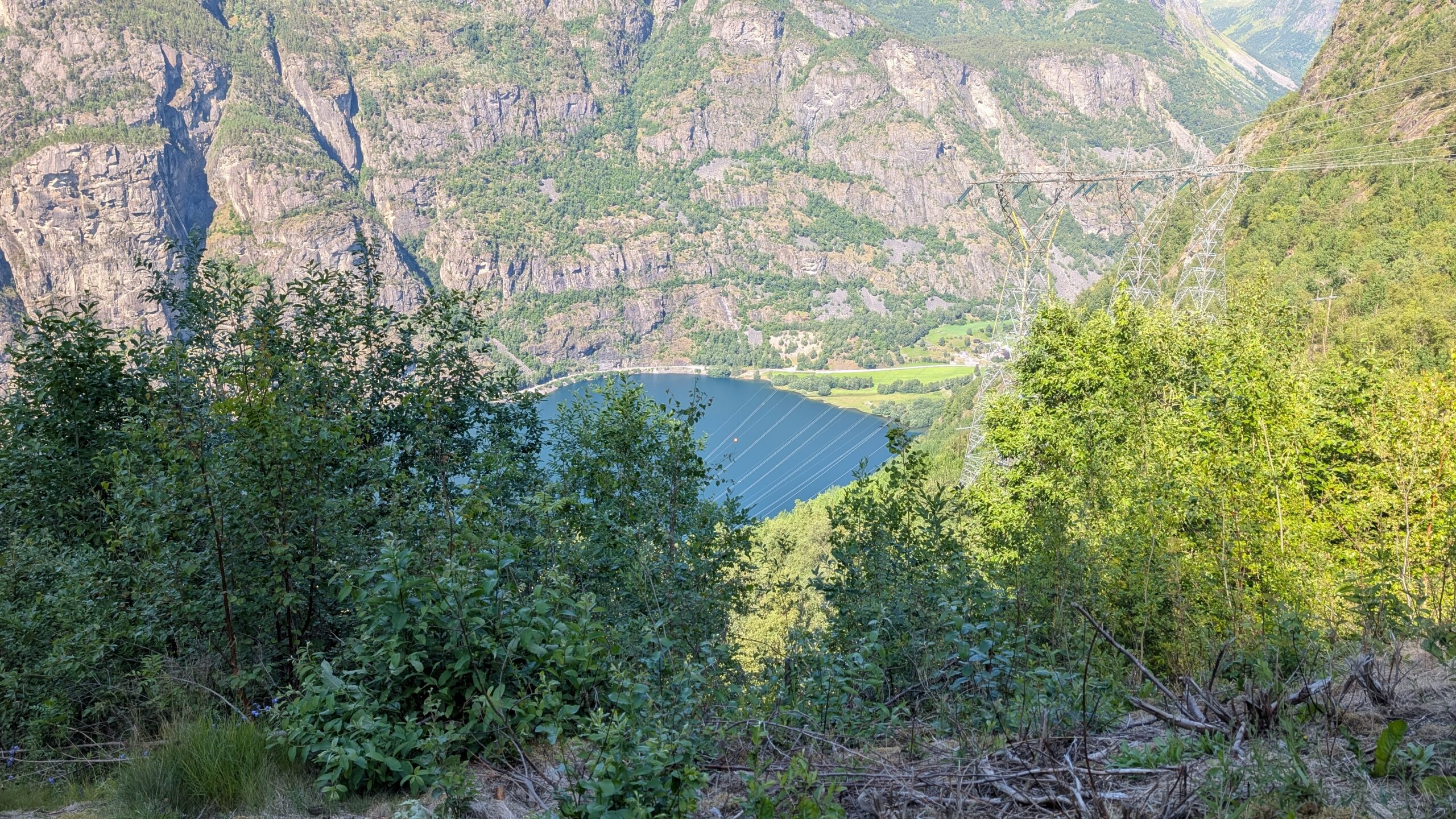 PXL_20260719_124207974